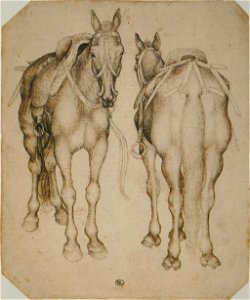 Pisanello - Codex Vallardi 2468