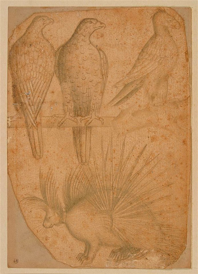 Pisanello - Deux aigles, un faucon et un porc épic