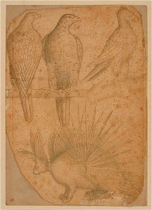 Pisanello - Deux aigles, un faucon et un porc épic