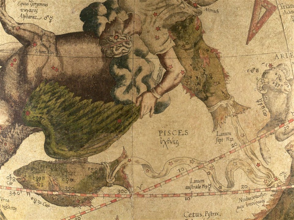 Pisces - Mercator