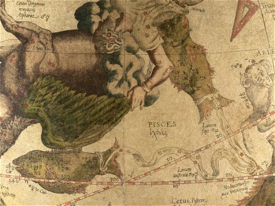 Pisces - Mercator