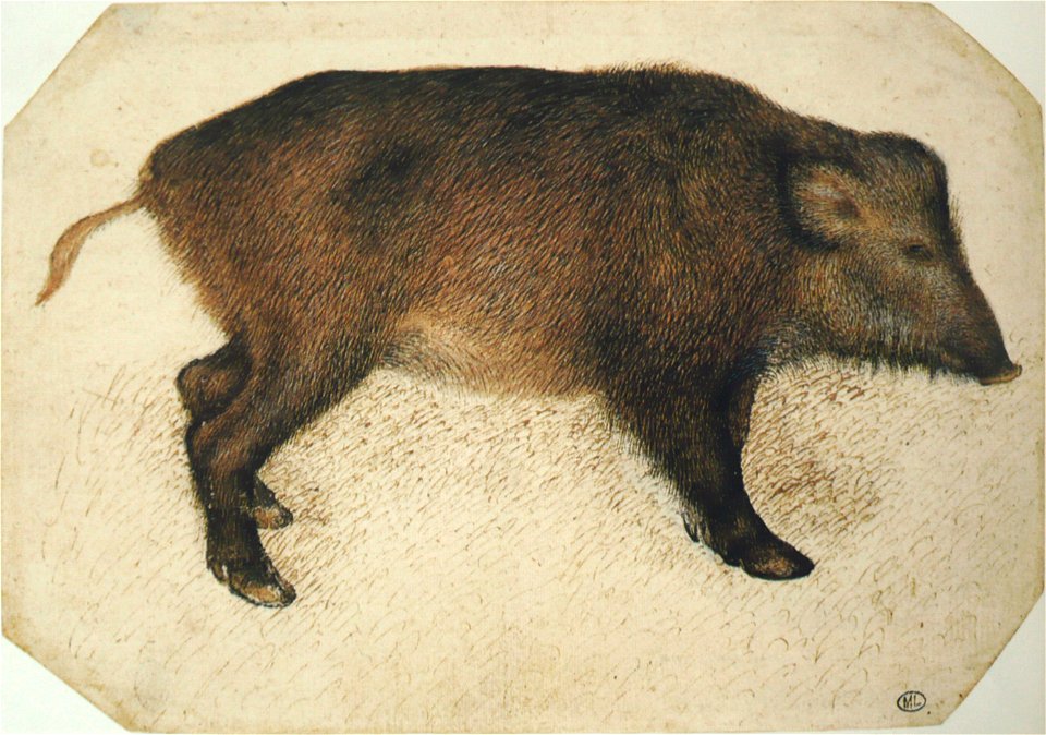 Pisanello - Codex Vallardi 2417