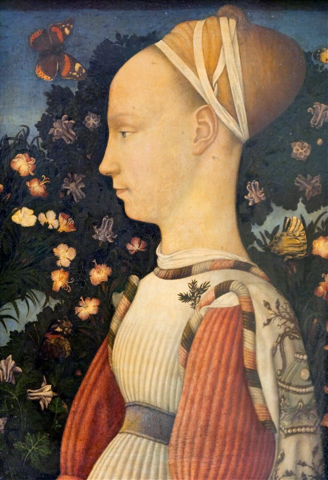 Pisanello 016 variation