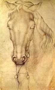 Pisanello, disegni, louvre 2360