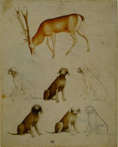Pisanello - Codex Vallardi 2498