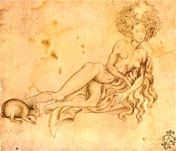 Pisanello, disegni, albertina 24018 r