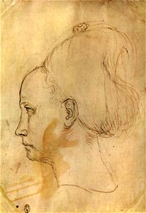 Pisanello, disegni, louvre 2342 v