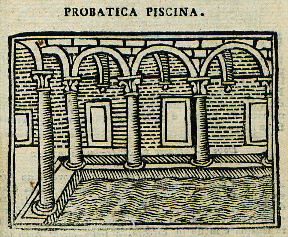 Piscina Probatica - Bianco Noe - 1600