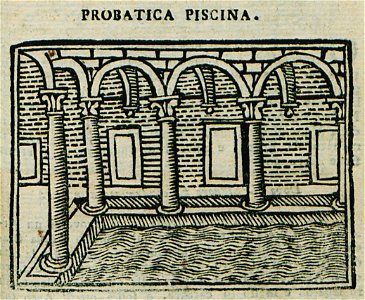 Piscina Probatica - Bianco Noe - 1600