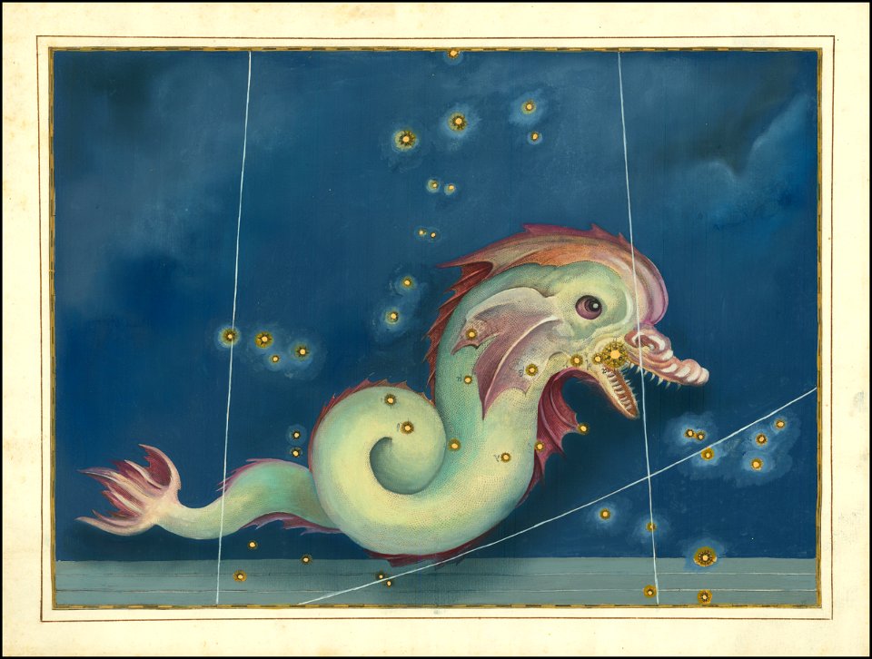 Piscis Austrinus - Johann Bayer