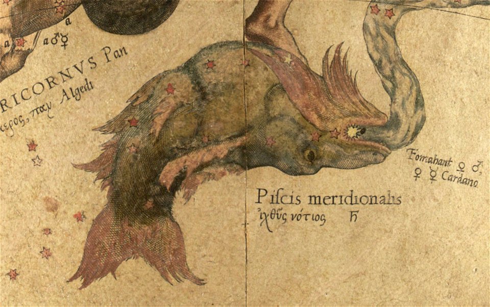 Piscis Austrinus - Mercator