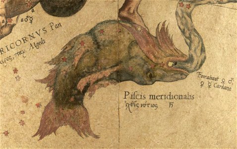 Piscis Austrinus - Mercator