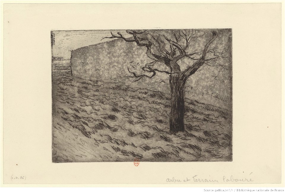 Pissarro - Arbre et terrain labouré, btv1b6955122q