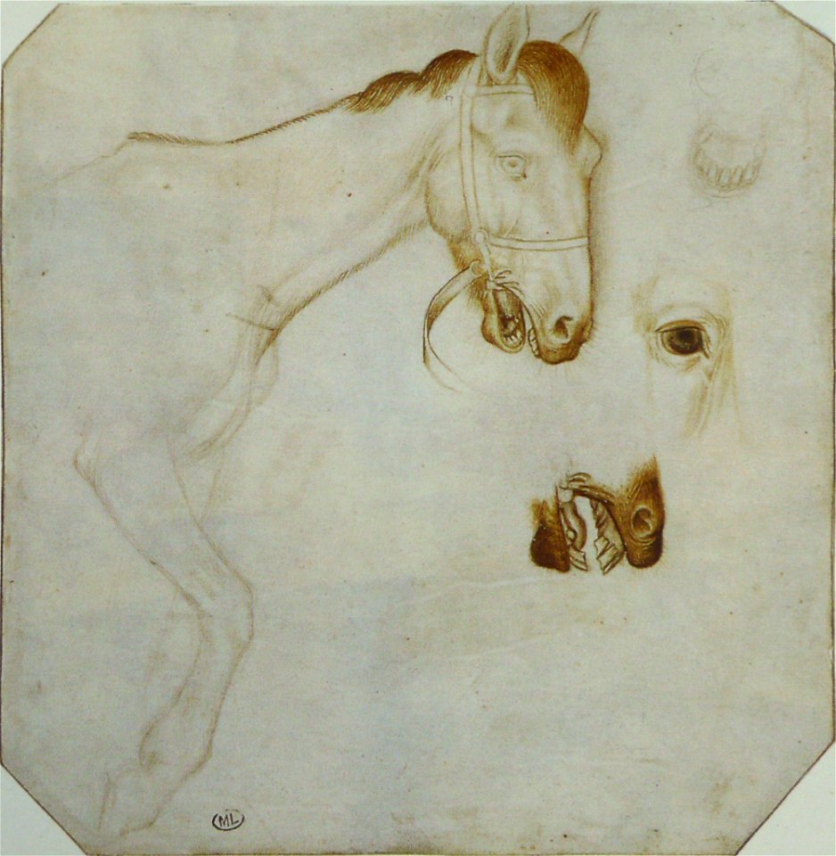 Pisanello - Codex Vallardi 2455