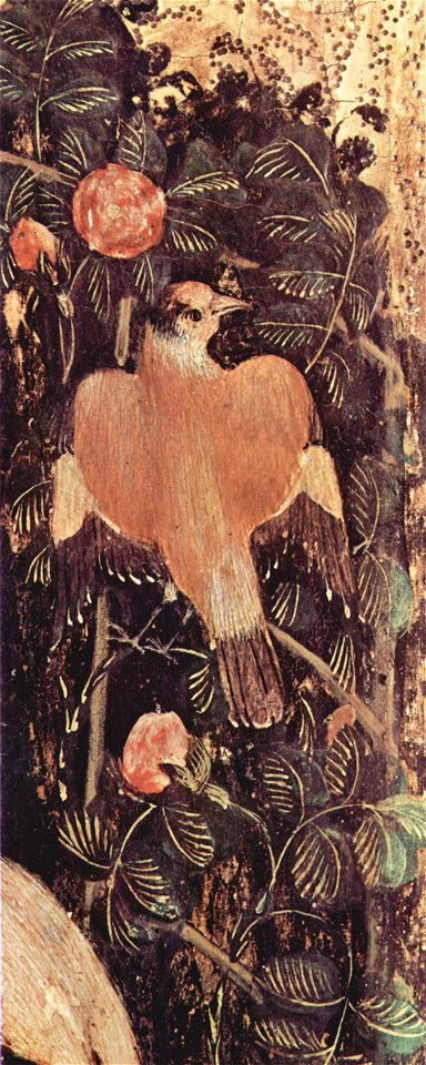 Pisanello 023