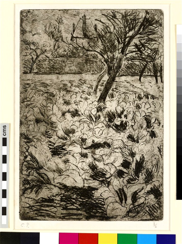 Pissarro - Le Champ de choux, WA1952.6.532