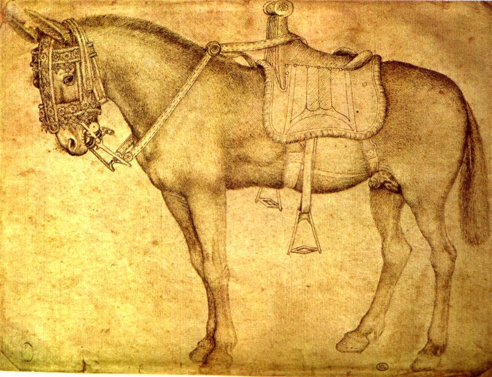 Pisanello, disegni, louvre 2325
