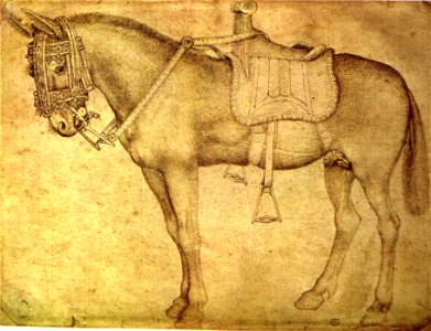 Pisanello, disegni, louvre 2325