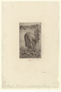 Pissarro - Femme cueillant des choux, 2e état, btv1b69551998