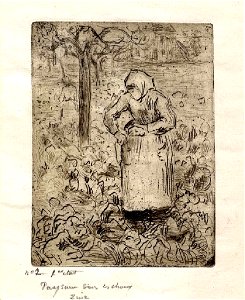 Pissarro - Paysanne dans les choux, WA1952.6.567