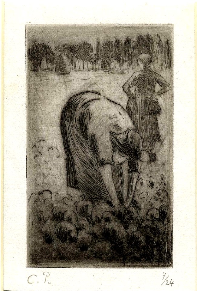 Pissarro - Femme cueillant des choux, WA1952.6.589
