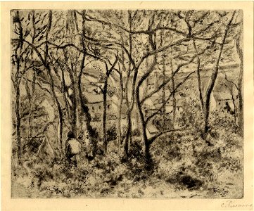 Pissarro - Paysage sous bois, à l'Hermitage (Pontoise), 1949,0411.2636