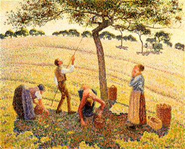 Camille Pissarro - La récolte des pommes à Éragny