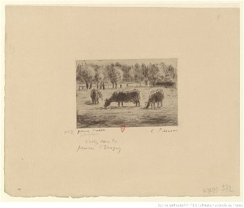 Pissarro - Vaches dans les prairies d'Eragny, 2e état, btv1b6955203q