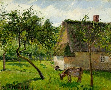 Camille Pissarro - Verger à Varengeville avec vache (1899)