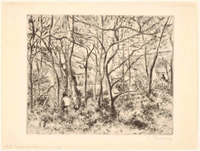 Pissarro - Wooded Undergrowth at the Hermitage, Pontoise, 1973.176