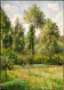 Pissarro - Poplars, Eragny (without Frame)