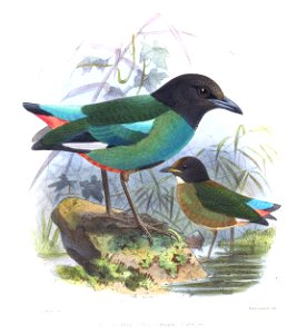 PittaSanghiranaKeulemans