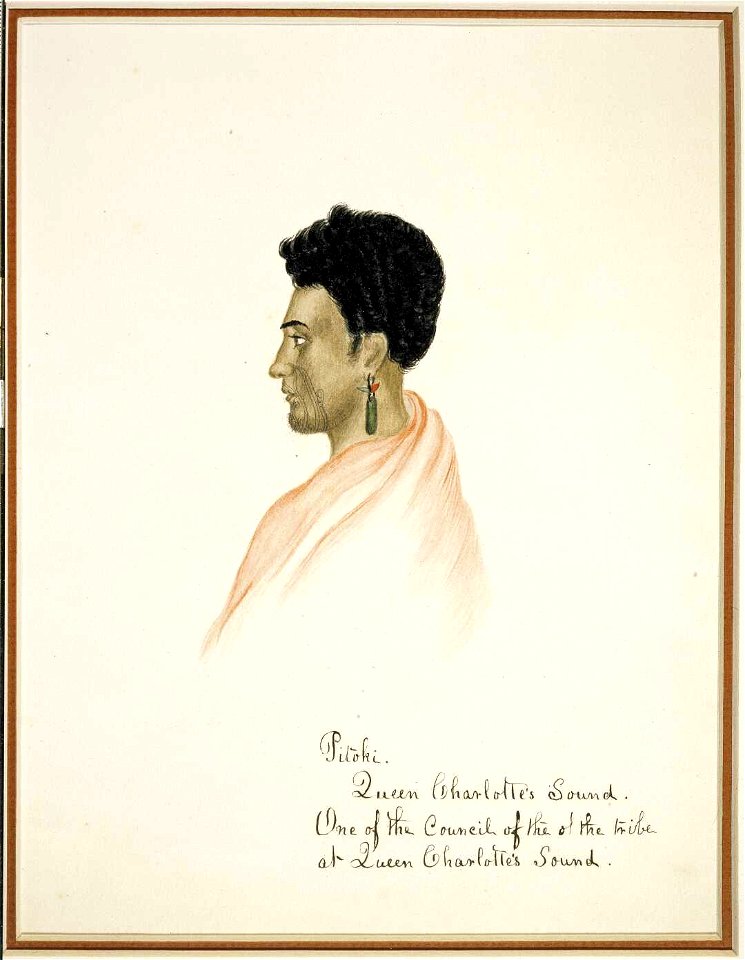 Pitoki. Queen Charlotte's Sound. One of the Council of the tribe at Queen Charlotte's Sound, watercolour & gum arabic by Isaac Coates