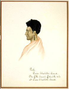 Pitoki. Queen Charlotte's Sound. One of the Council of the tribe at Queen Charlotte's Sound, watercolour & gum arabic by Isaac Coates