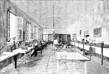 PSM V48 D369 Laboratory of the botanical garden at buitenzorg