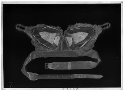 Pistolhölster, till engelsk sadel - Livrustkammaren - 43511-negative