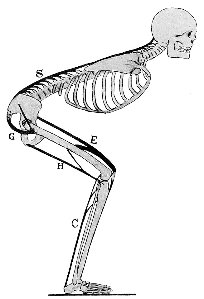 PSM V48 D196 Speed skating position of the body