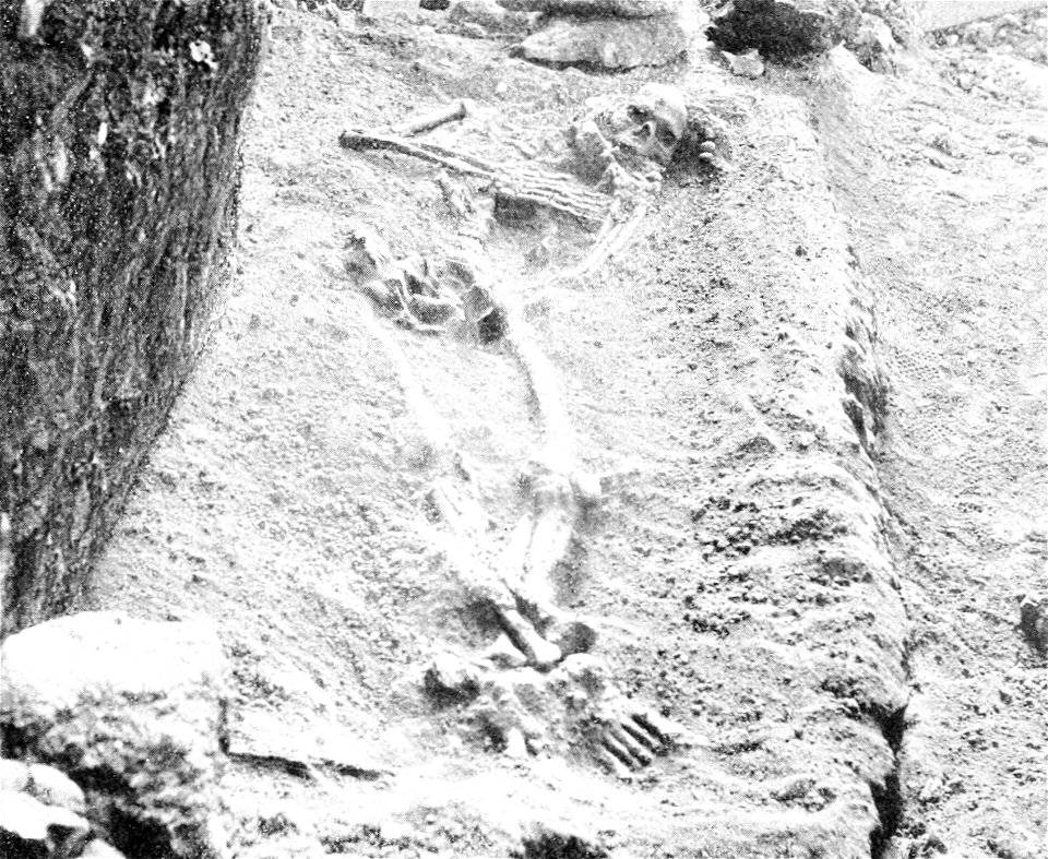 PSM V48 D027 Paleolithic skeleton discovered in a rochers rouge cave 1894