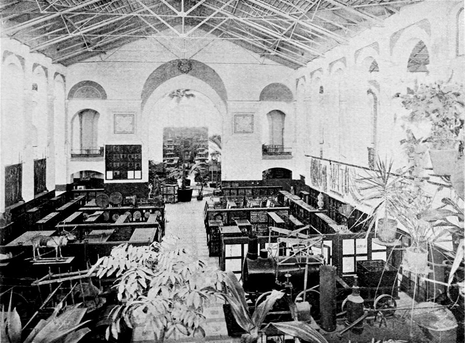 PSM V48 D496 United states national museum interior