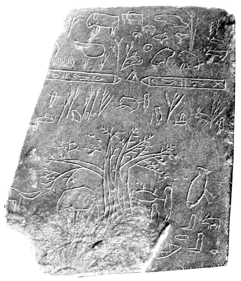 PSM V51 D102 Slate tablet from davenport