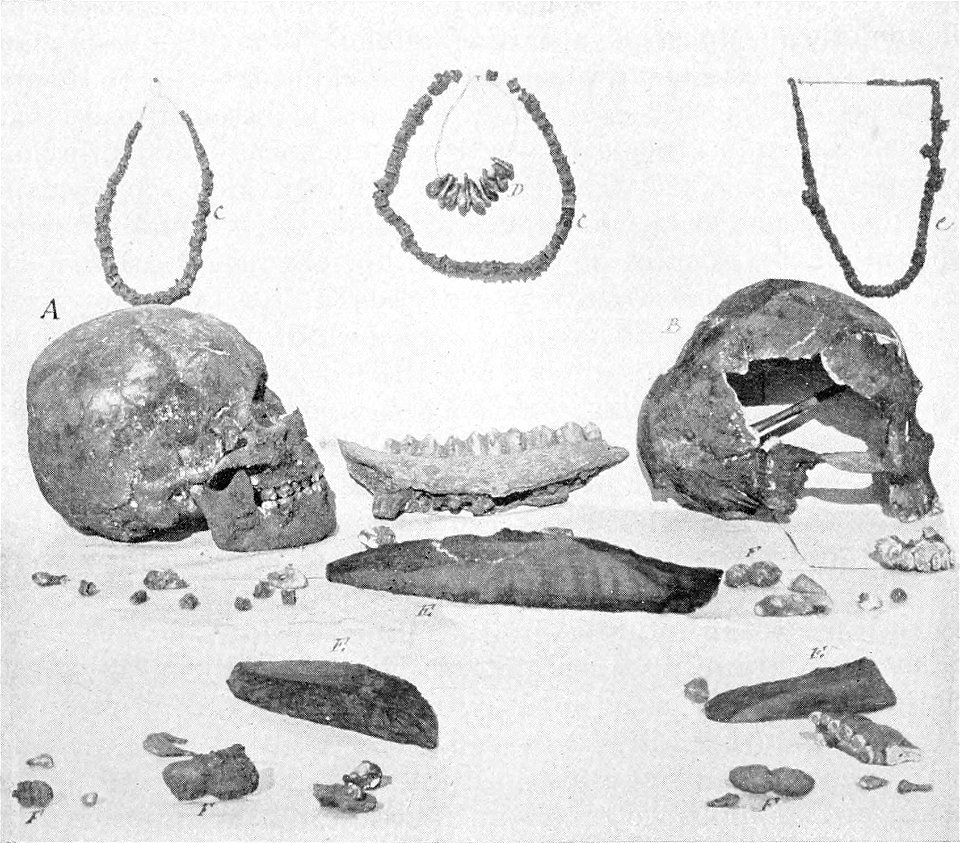 PSM V48 D033 Paleolithic remains discovered near menton 1892