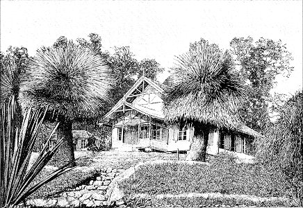 PSM V48 D370 Foreign student pavilion at forest garden of tjibodas java