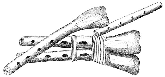 PSM V48 D732 Musical instruments found on san clemente 1895