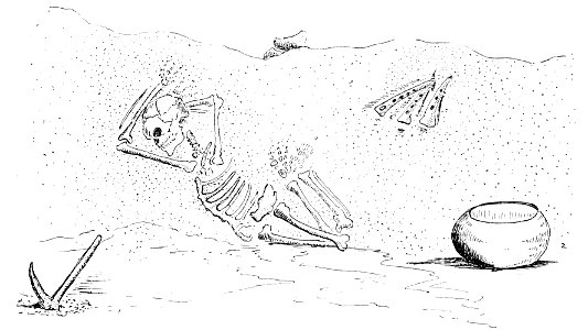 PSM V48 D731 Skeleton found on san clemente california