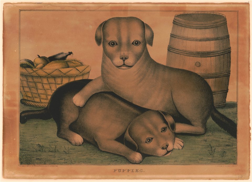 Puppies - Kelloggs & Comstock, Hartford, Conn. ; D. Needham, Buffalo. LCCN95505016