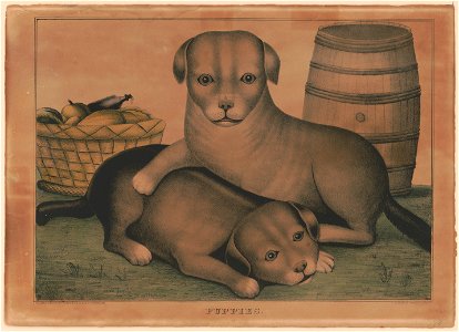 Puppies - Kelloggs & Comstock, Hartford, Conn. ; D. Needham, Buffalo. LCCN95505016