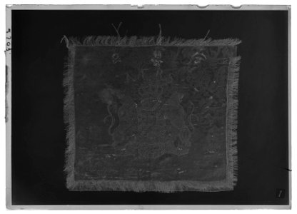 Pukfana med svenska riksvapnet och A.F.R.S. (Adolf Fredrik Rex Suecia) - Livrustkammaren - 77552-negative