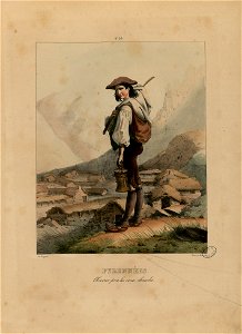 Pyrénées - Chevrier près les Eaux-Chaudes - Fonds Ancely - B315556101 A PINGRET 040