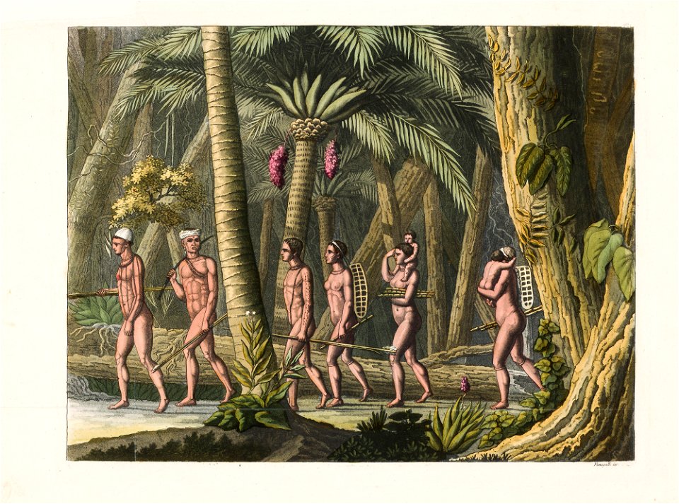 Puris nelle loro foreste, da Coleção Brasiliana Iconográfica