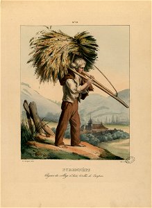 Pyrénées - Paysan du village d'Asté, Vallée de Campan - Fonds Ancely - B315556101 A PINGRET 025